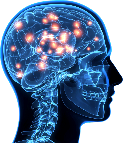 KnowledgeMonkey — your AI-native second brain